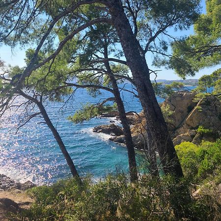 Evasion Nature A Cap Esterel Jardin, Mer & Golf Tout Confort Saint-Raphaël Εξωτερικό φωτογραφία