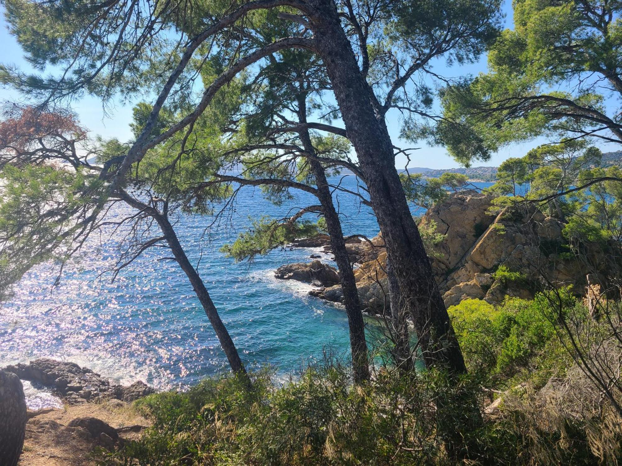 Evasion Nature A Cap Esterel Jardin, Mer & Golf Tout Confort Saint-Raphaël Εξωτερικό φωτογραφία